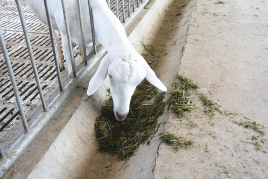 中国·7790必发集团(股份)有限公司-官方网站