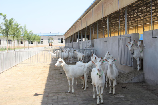 中国·7790必发集团(股份)有限公司-官方网站