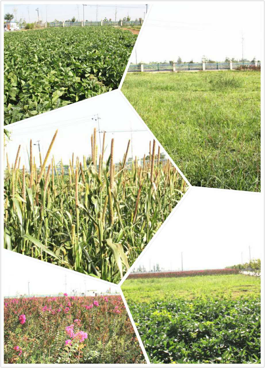 中国·7790必发集团(股份)有限公司-官方网站