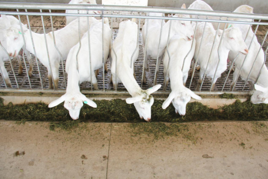 中国·7790必发集团(股份)有限公司-官方网站