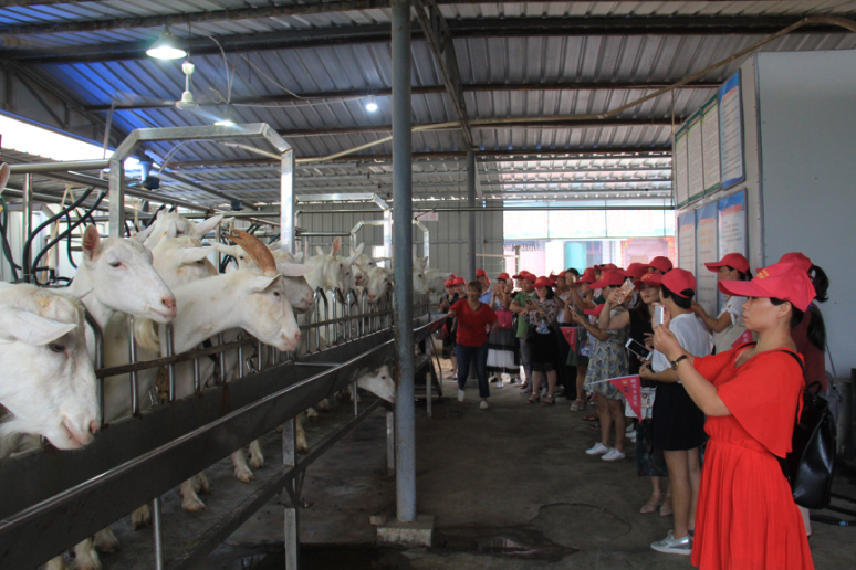 中国·7790必发集团(股份)有限公司-官方网站