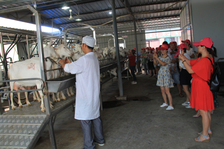 中国·7790必发集团(股份)有限公司-官方网站