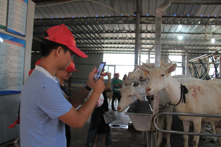 中国·7790必发集团(股份)有限公司-官方网站