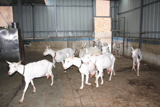 中国·7790必发集团(股份)有限公司-官方网站