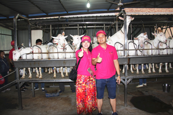 中国·7790必发集团(股份)有限公司-官方网站