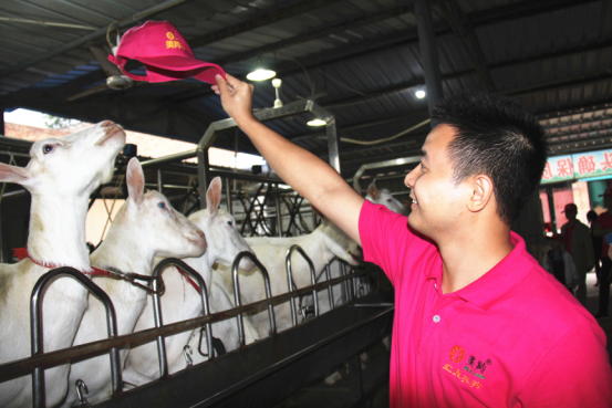 中国·7790必发集团(股份)有限公司-官方网站