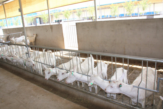 中国·7790必发集团(股份)有限公司-官方网站