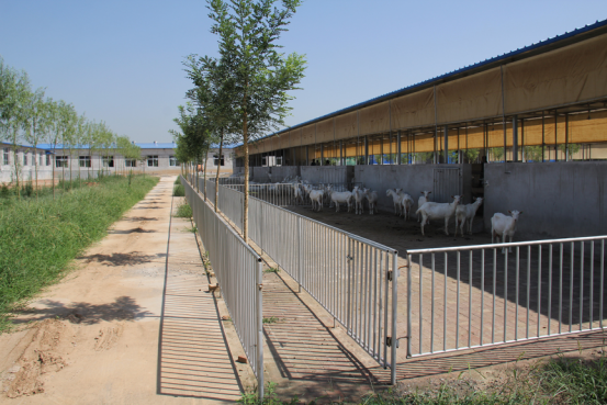 中国·7790必发集团(股份)有限公司-官方网站