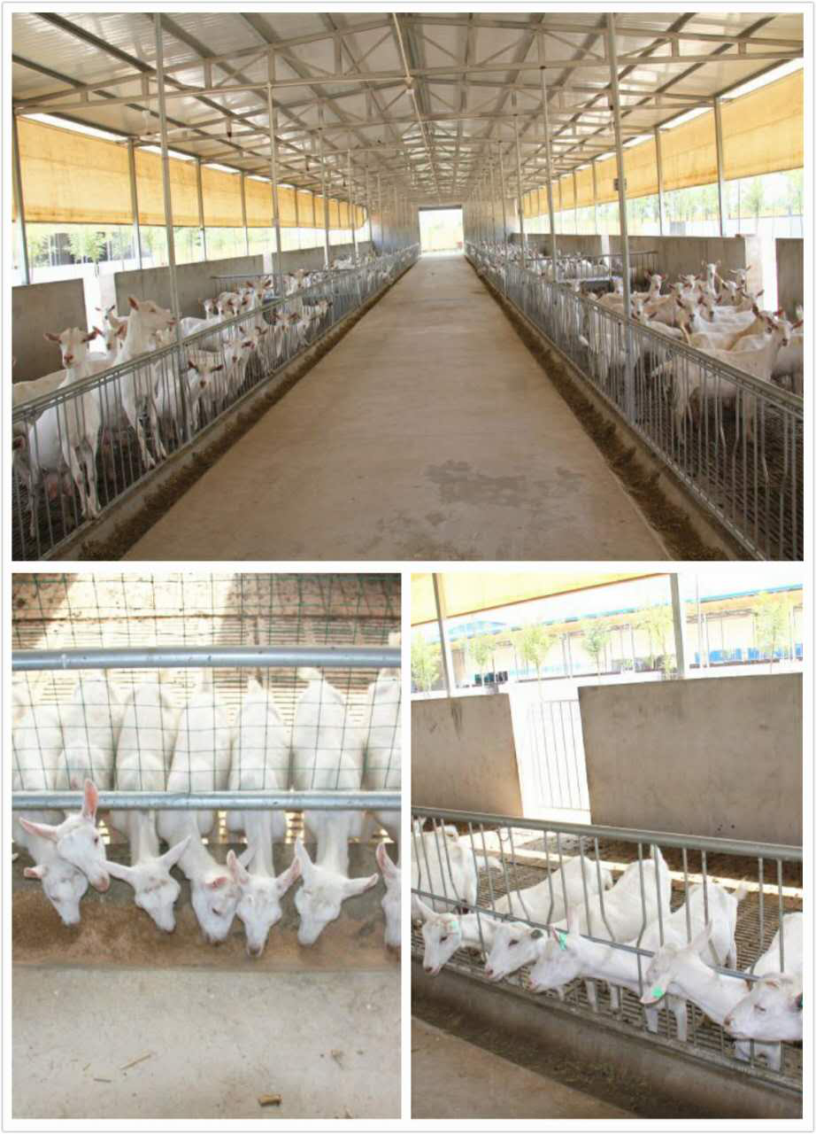 中国·7790必发集团(股份)有限公司-官方网站