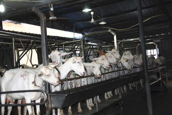 中国·7790必发集团(股份)有限公司-官方网站