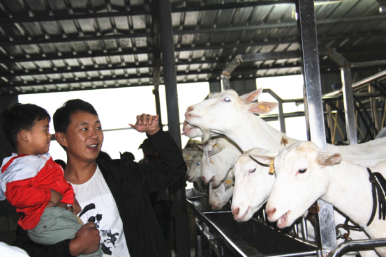 中国·7790必发集团(股份)有限公司-官方网站