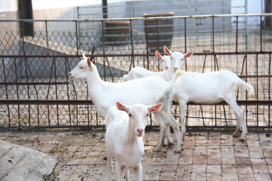 中国·7790必发集团(股份)有限公司-官方网站