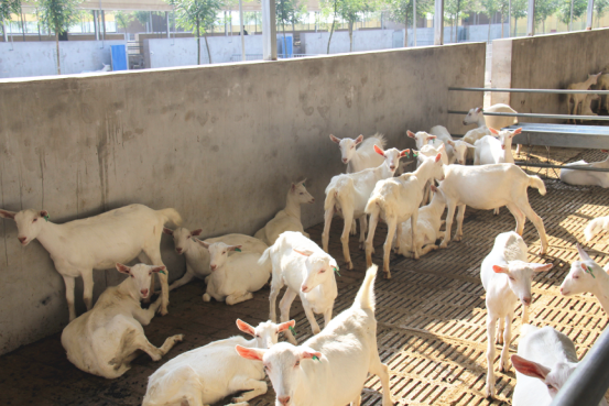 中国·7790必发集团(股份)有限公司-官方网站