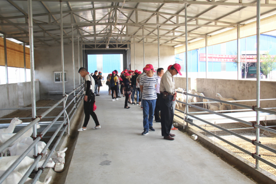 中国·7790必发集团(股份)有限公司-官方网站