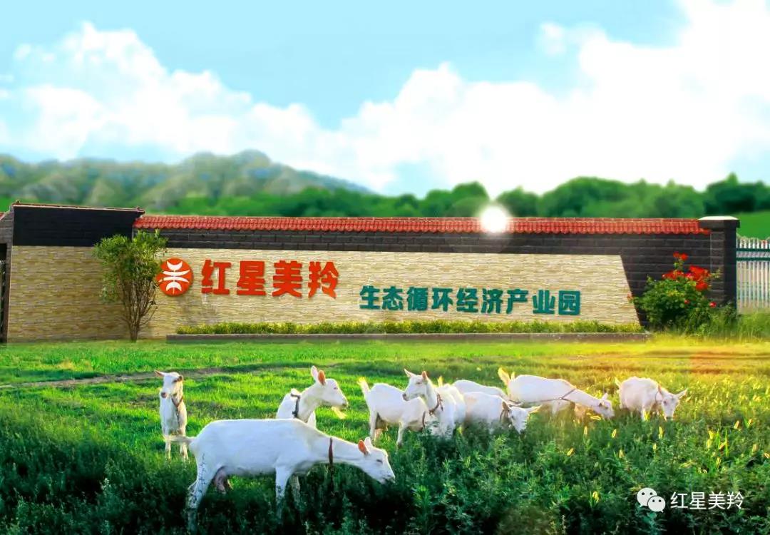 中国·7790必发集团(股份)有限公司-官方网站