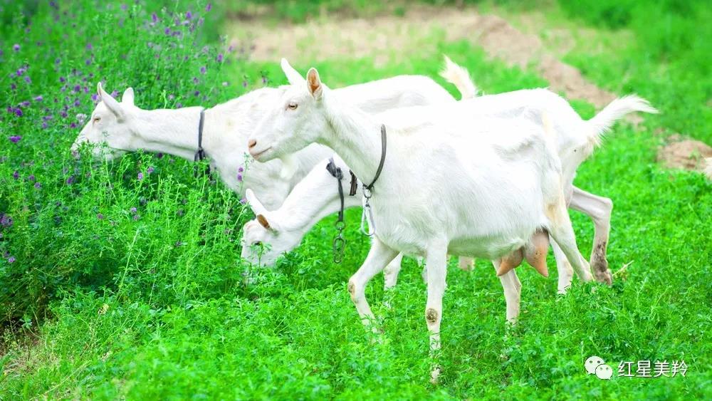 中国·7790必发集团(股份)有限公司-官方网站