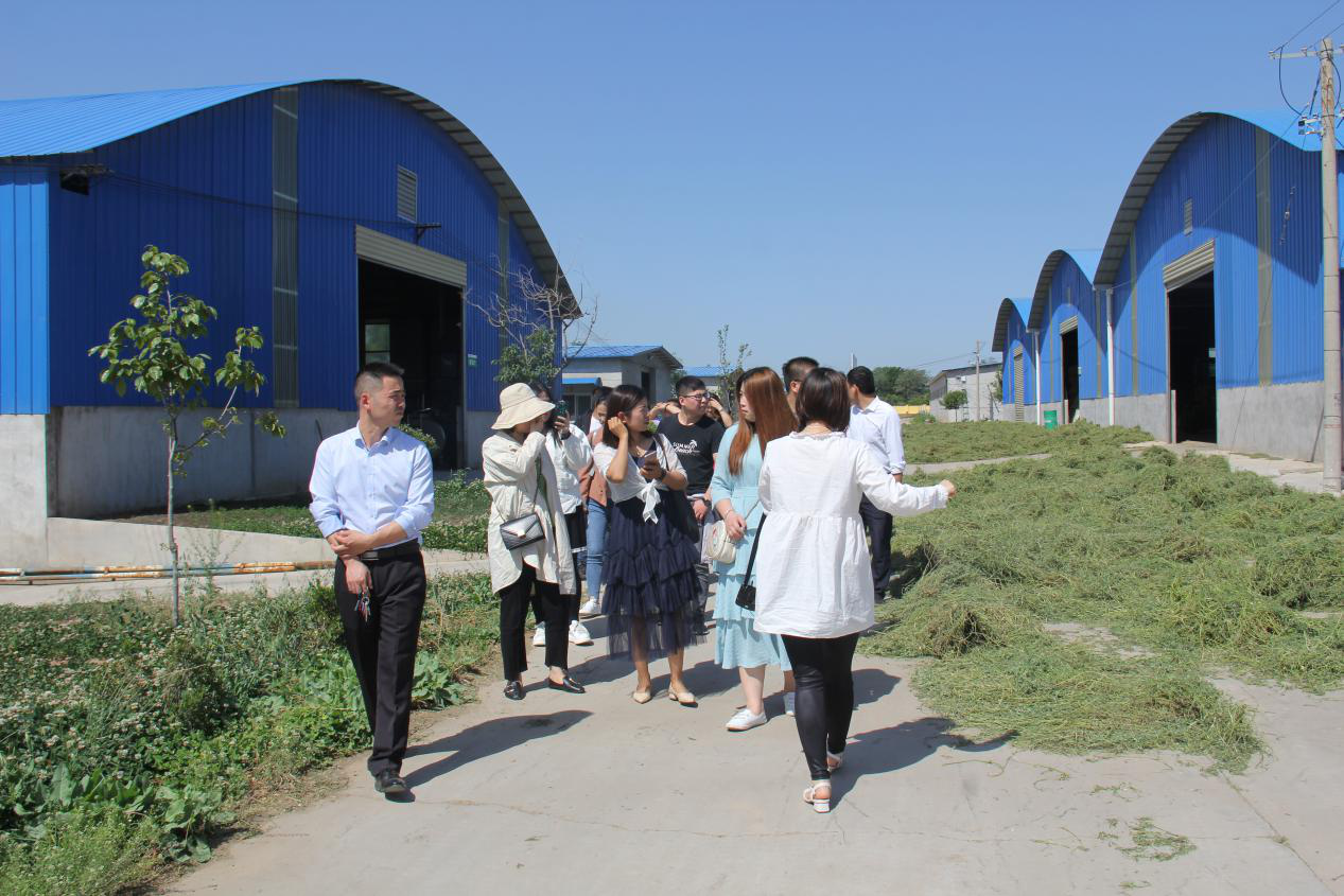 中国·7790必发集团(股份)有限公司-官方网站