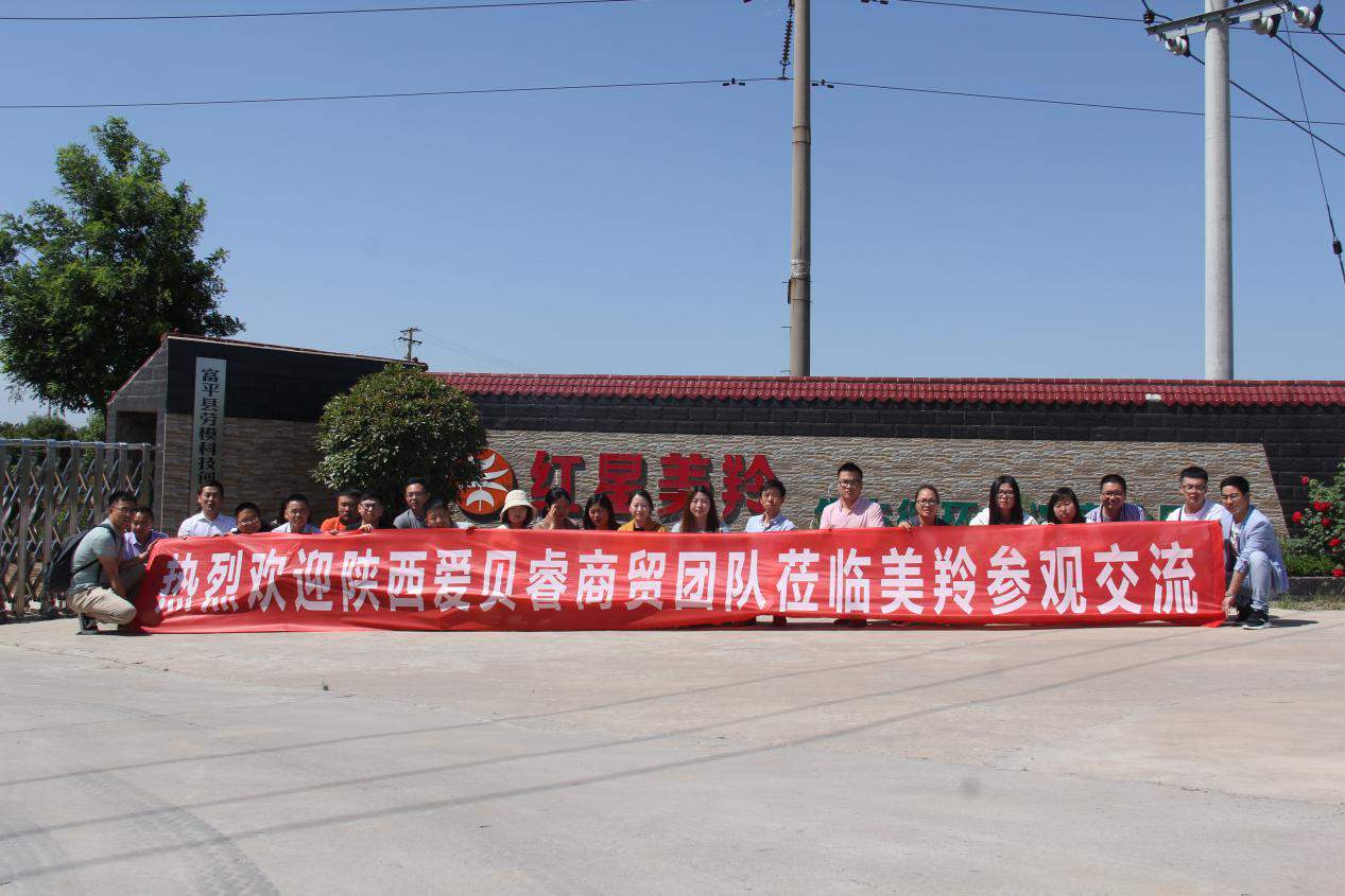 中国·7790必发集团(股份)有限公司-官方网站