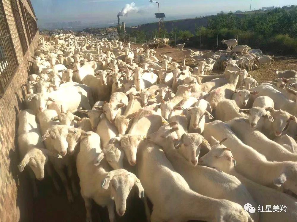 中国·7790必发集团(股份)有限公司-官方网站