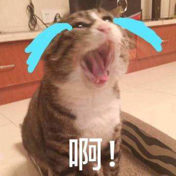 中国·7790必发集团(股份)有限公司-官方网站