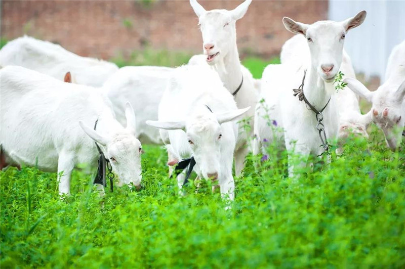 中国·7790必发集团(股份)有限公司-官方网站