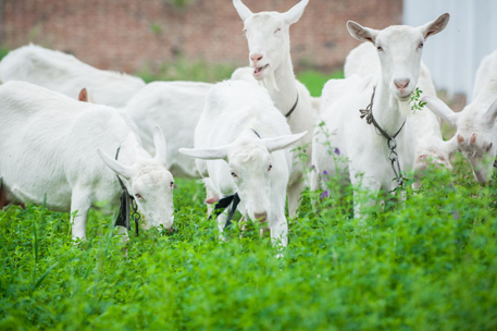 中国·7790必发集团(股份)有限公司-官方网站